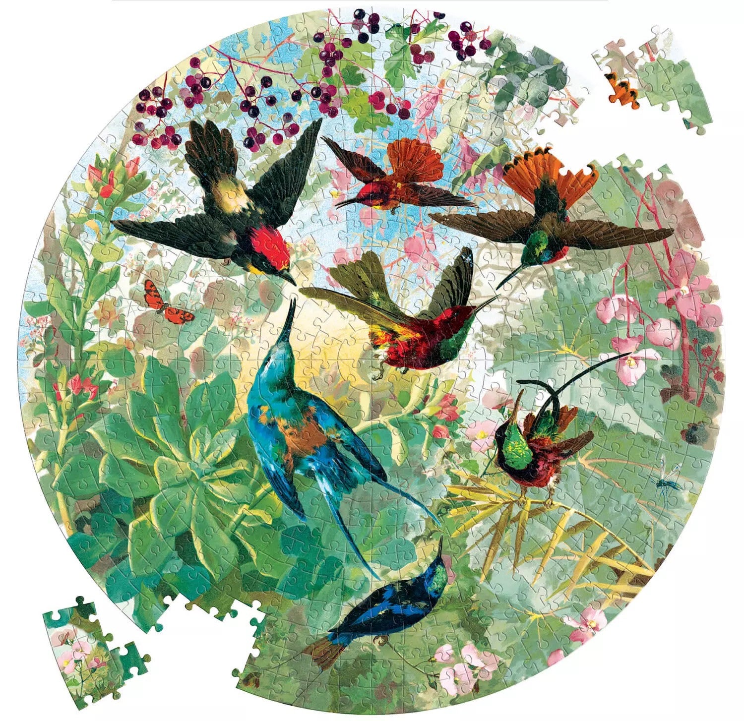 Puzzle Hummingbirds
