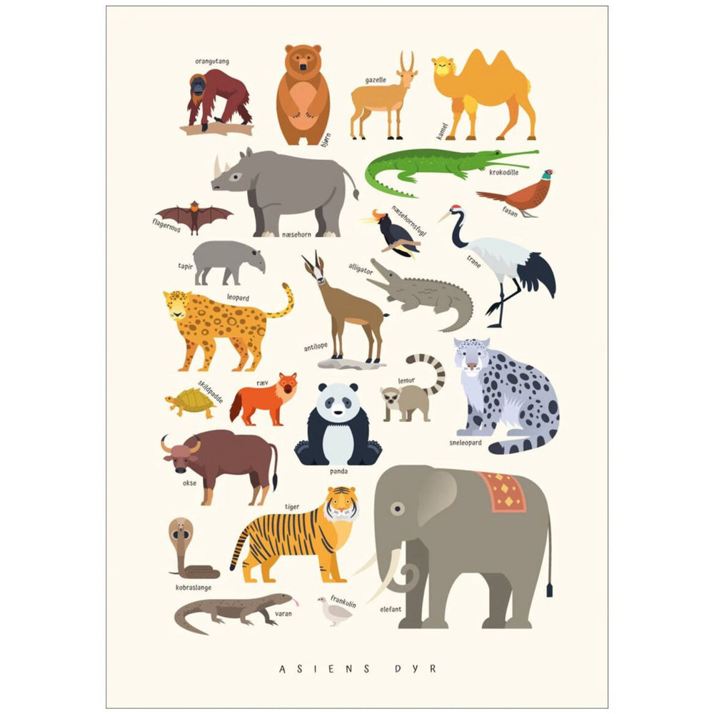 Køb Poster & Frame Citatplakat - Asiens Dyr – Børneplakat