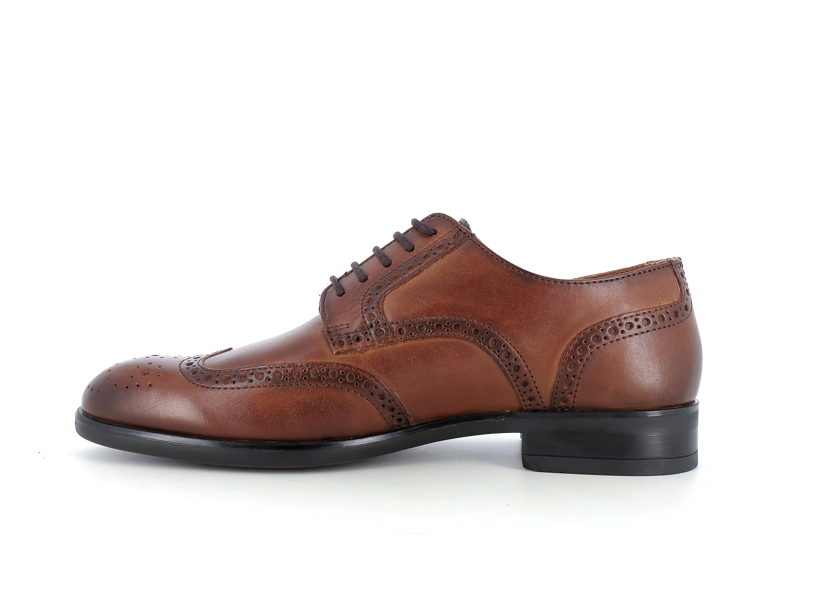 Pikolinos-BRISTOL M7J 4186 Cuir Cognac