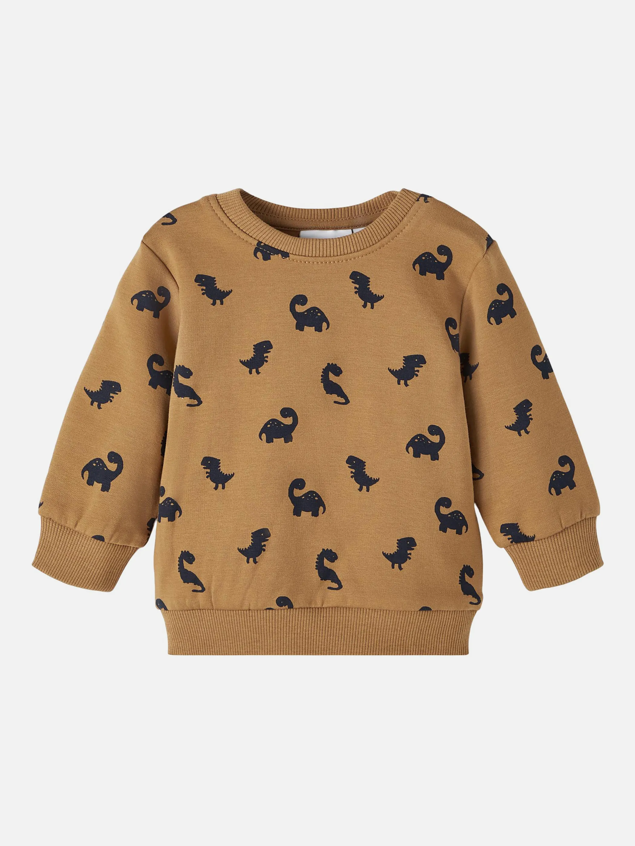 Jungen Sweatshirt mit Dinoprint