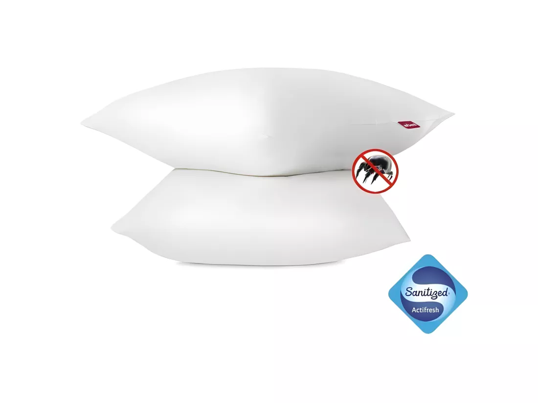 ABEIL Lot de 2 Oreillers Anti-Acarien - 60 x 60 cm - Blanc