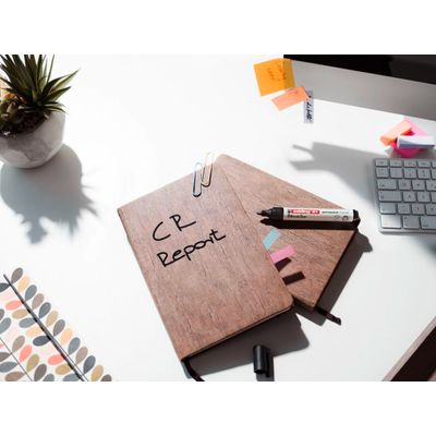 Edding EcoLine 21 - Marqueur permanent - noir