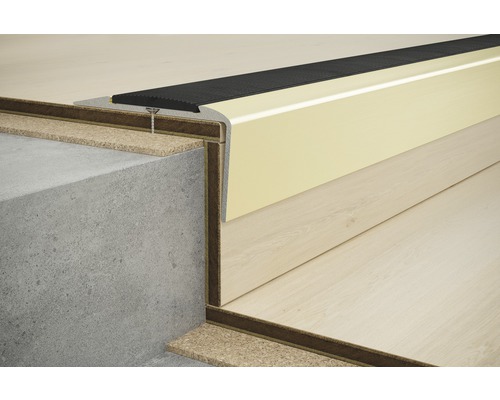 SKANDOR trapneusprofiel, champagne geanodiseerd, geperforeerd met rubberen inleg, 22x42x1350 mm