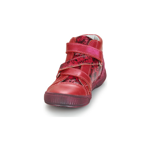 GBB - RADEGONDE - Rose