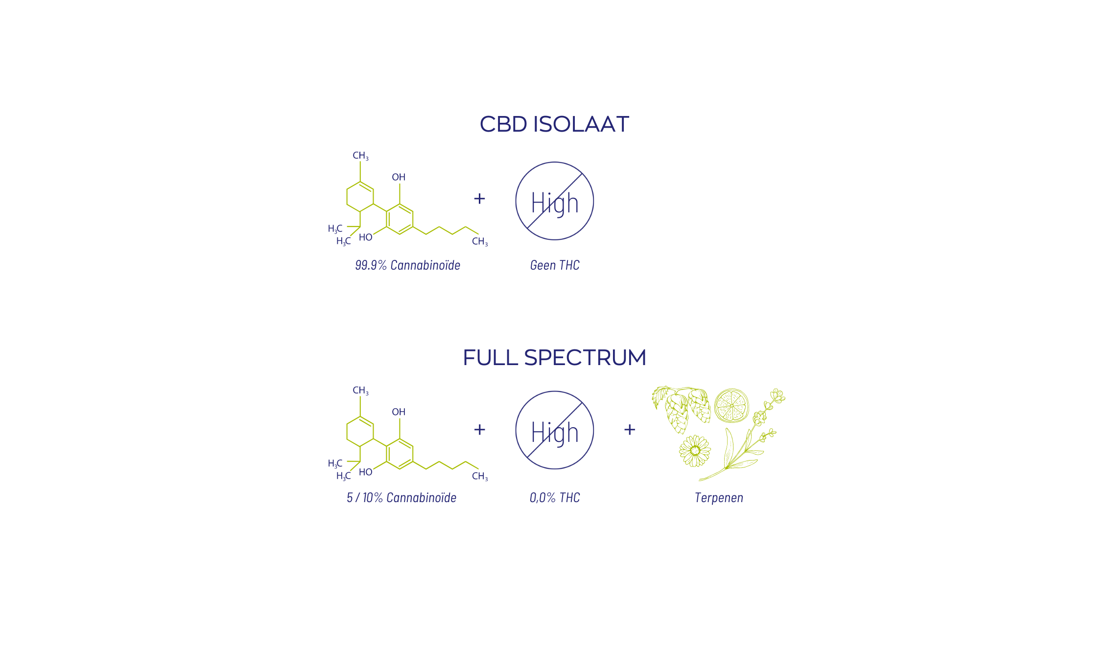CBD Olie 10% Full spectrum