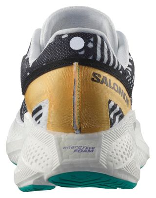 Chaussures Running Salomon Aero Glide 3 Proto Pack Multicolore Homme