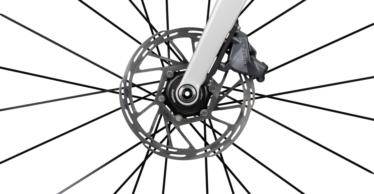 Radon Vaillant Disc 10.0 EA kaufen | Bike-Discount