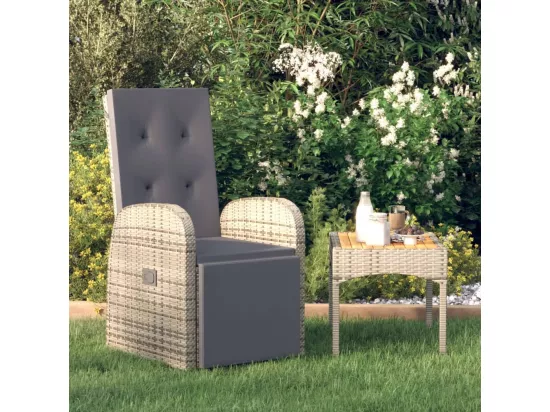 Chaise inclinable de jardin et coussin Résine tressée Gris
