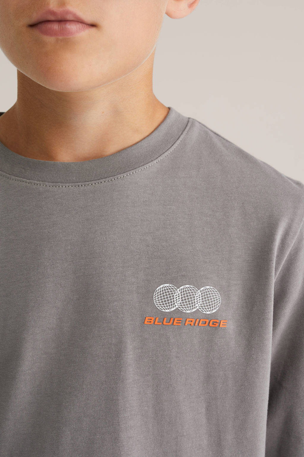 WE Fashion Blue Ridge longsleeve grijs