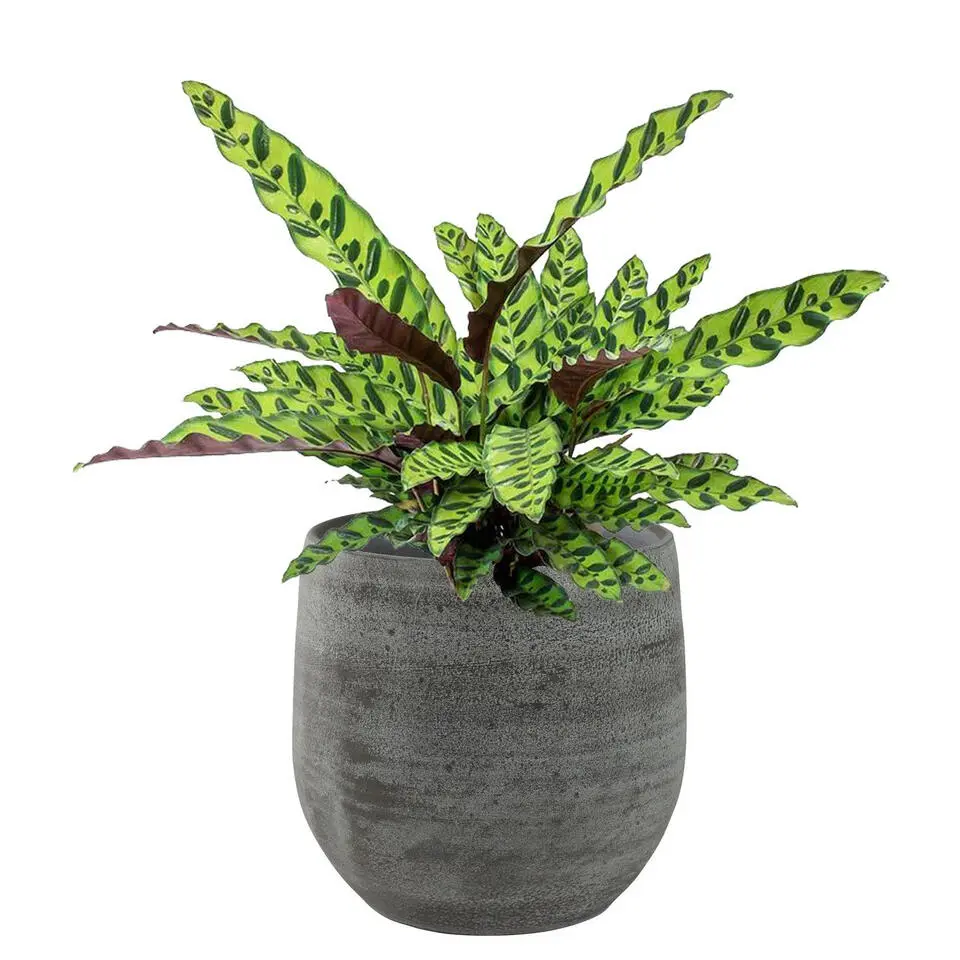 Ter Steege Plantenpot/bloempot - keramiek - grijs - 22 x 20 cm