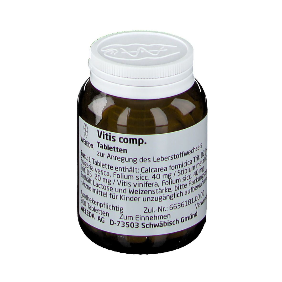 Vitis comp.