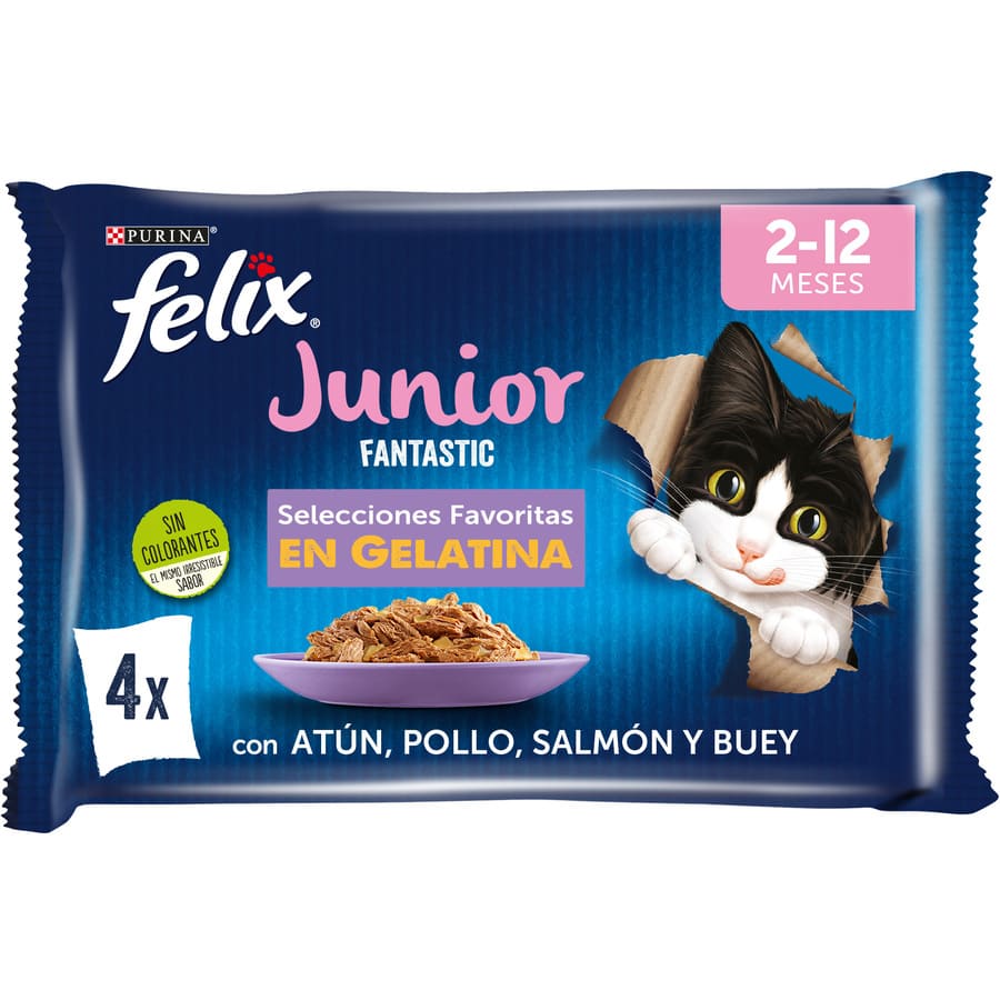 Felix Junior Sachês Fantásticos de Carne e Peixe em Gelatina - Pacote com Vários
