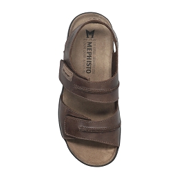 sagun  SCRATCH 3451  DARK BROWN