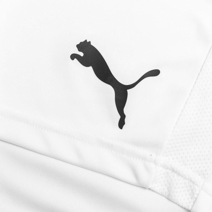 FC Stockholm Matchshorts Senior