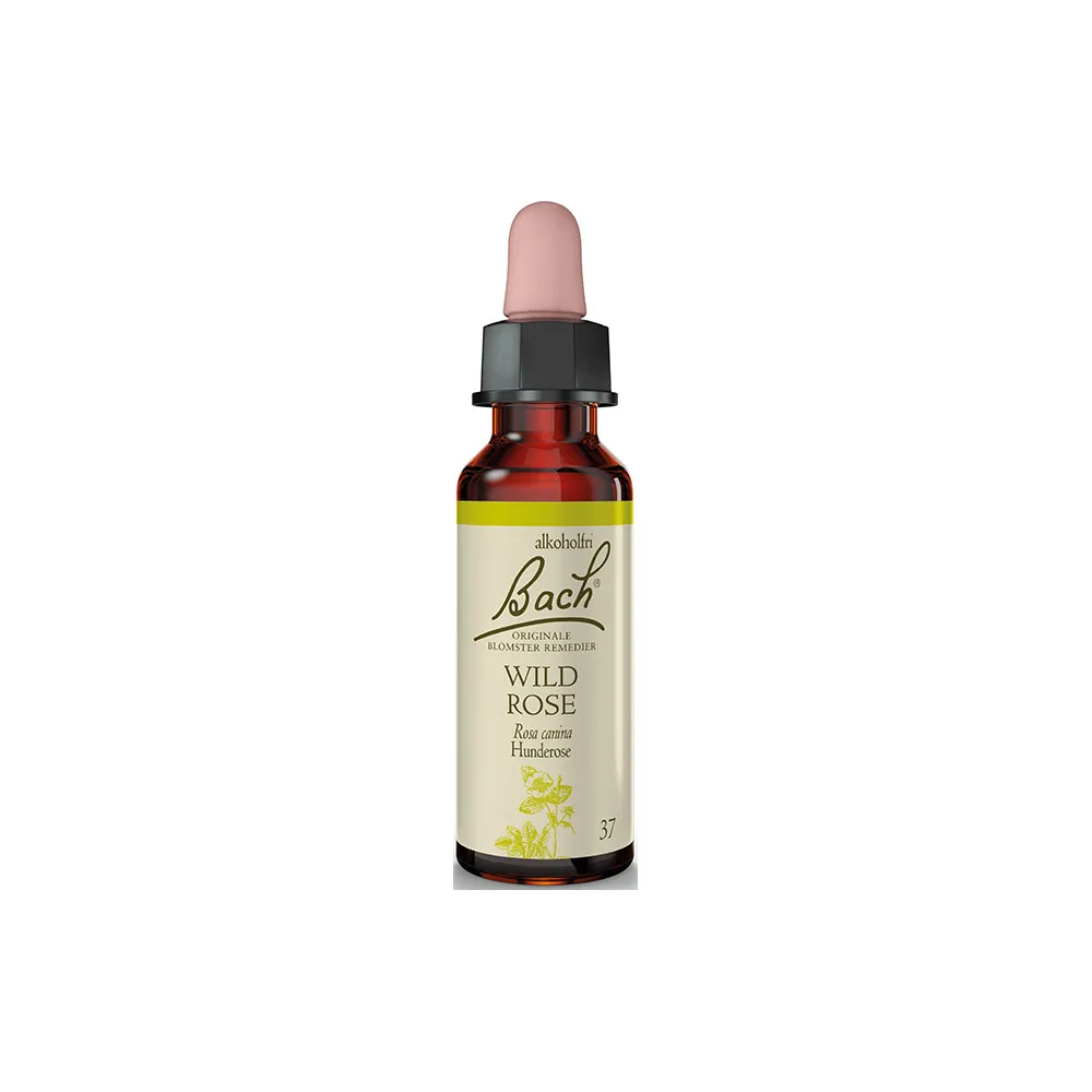 Bach Hunderose - 10 ml
