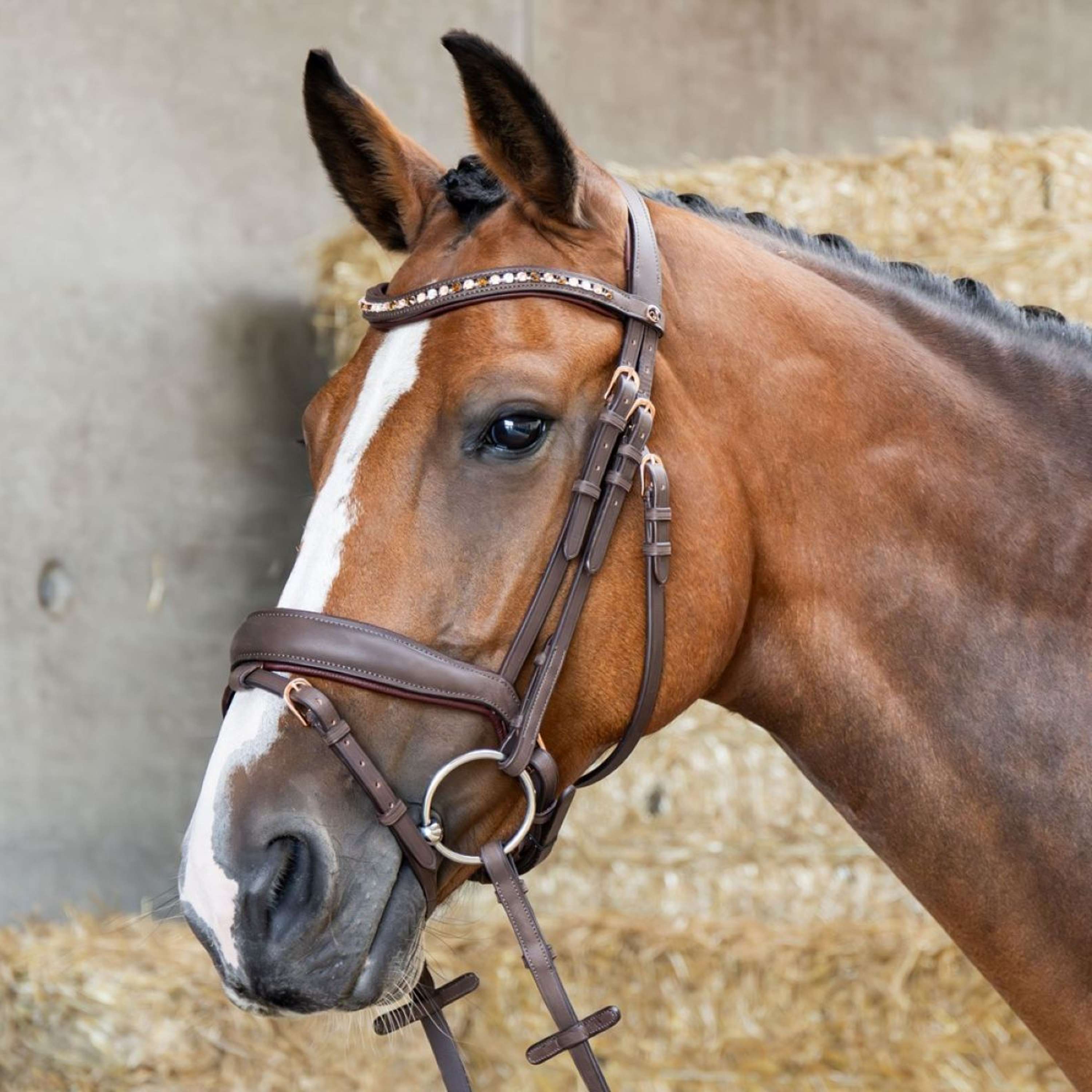 Harry's Horse Hoofdstel Bombastic Crystals Bruin