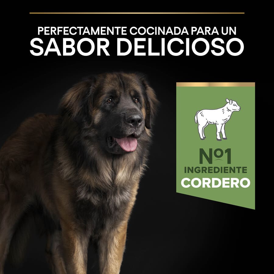 Pro Plan Adult Large Robust Digestion Lamb Dog Food