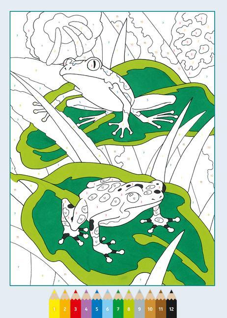 Ravensburger CreArt Malen nach Zahlen ab 7: Gefährliche Tiere, Malbuch, 24 Motive