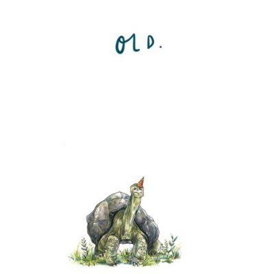 Old Tortoise Greeting Card