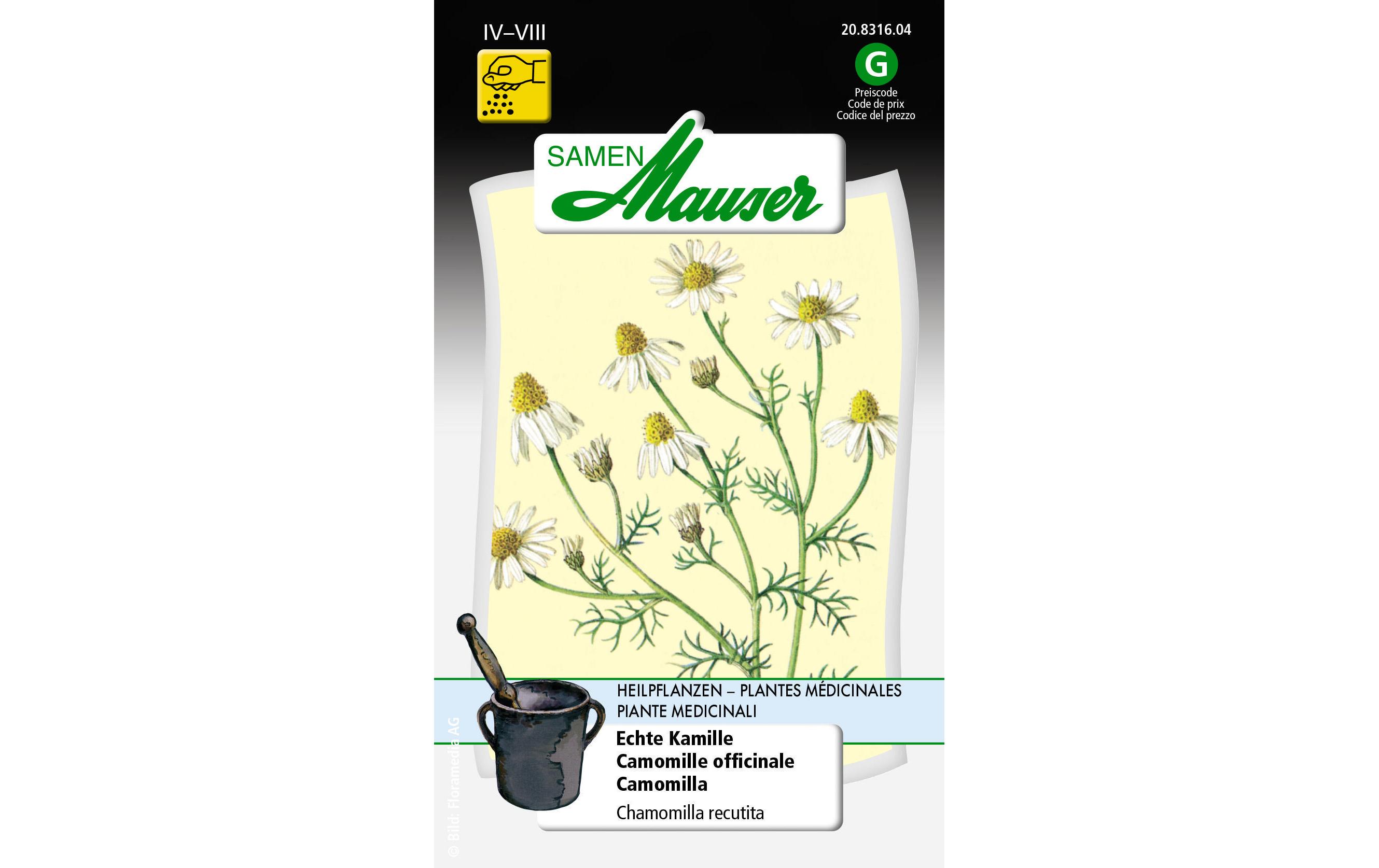 Heilpflanzen Echte KamilleBlumensamen