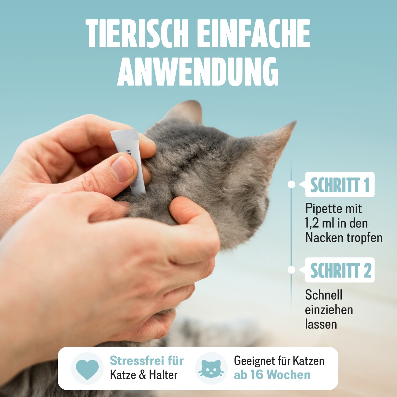 Futum Spot On (6x1,2ml) für Katzen 7 ml