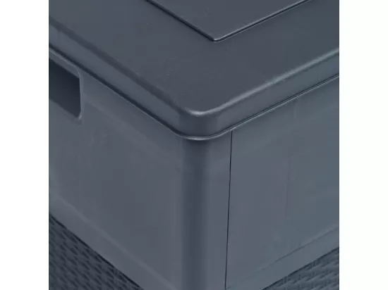Boîte de rangement de jardin 320 L Anthracite