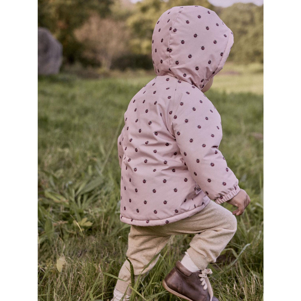 Køb Lil'Atelier Misty Rose Ladybug Nbflasnow05 Jkt Aop Fo Lil