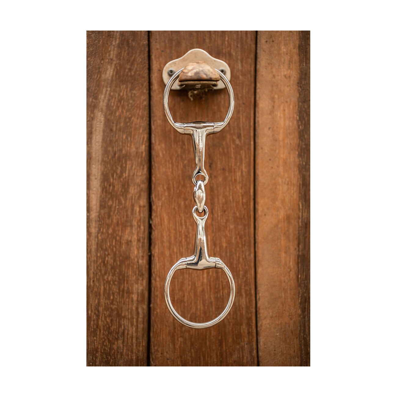 Equinate Olivenkopfgebiss Edelstahl 16mm doppelt gebrochen 1,6 cm 11,5 cm