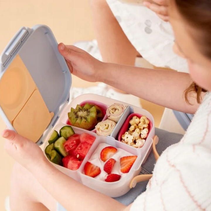 Mini Lunchbox - Feeling Peachy