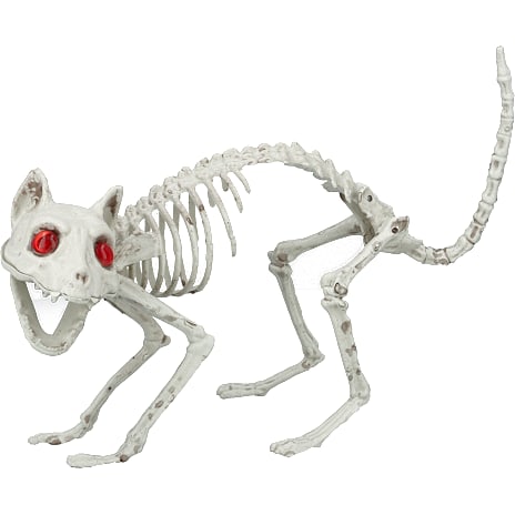 Halloween dyreskelet 23 cm - Hund eller kat - assorteret