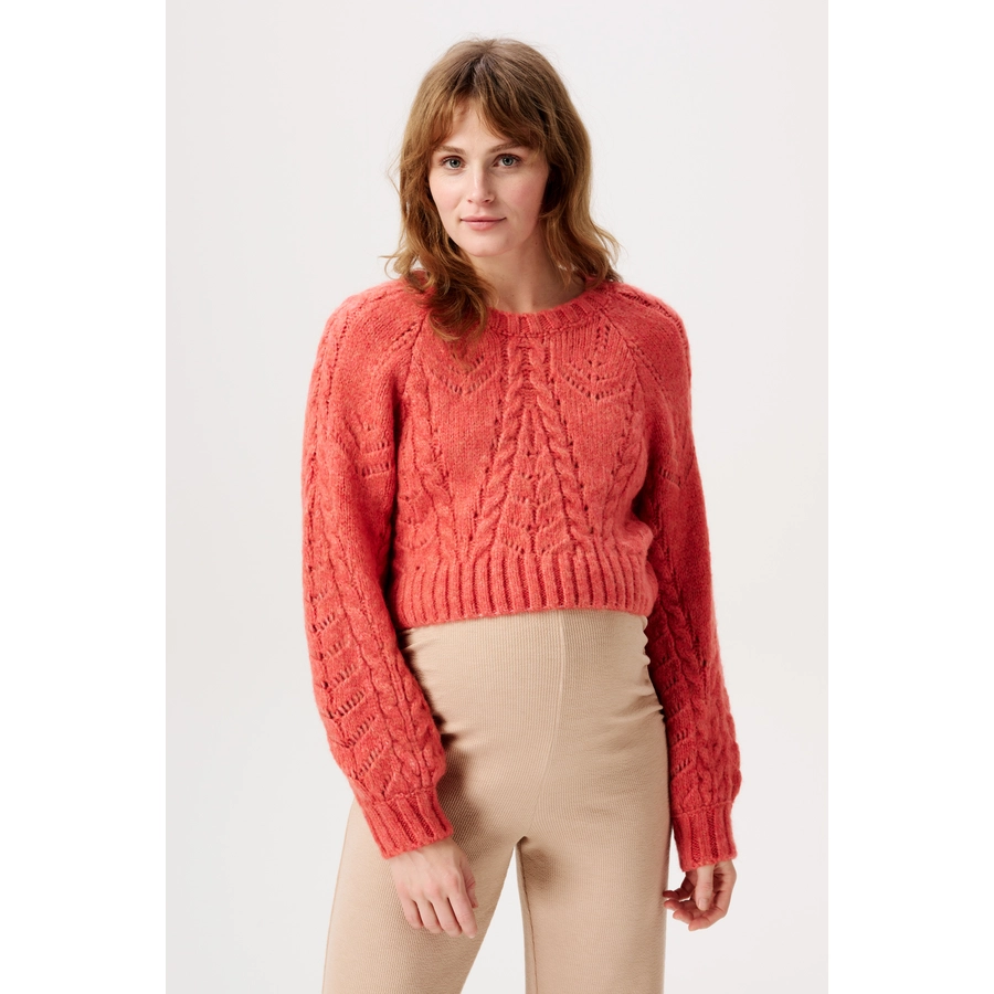 Noppies Still-Pullover Esbjerg Mineral Red
