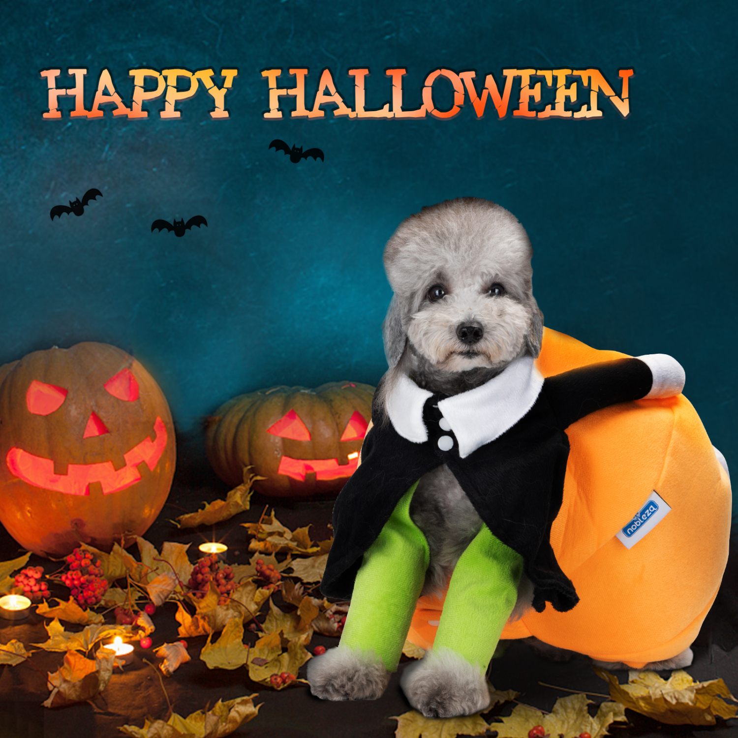 Nobleza - Fantasia de Halloween para Cachorro com Abóbora e Palhaço, Fantasia Divertida para Gato, Fantasia Cosplay Inusitada, Casaco de Inverno Quente (G)
