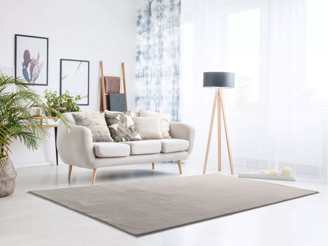 Tapis intérieur - uni - pierre - 140 x 200 cm - LOFT