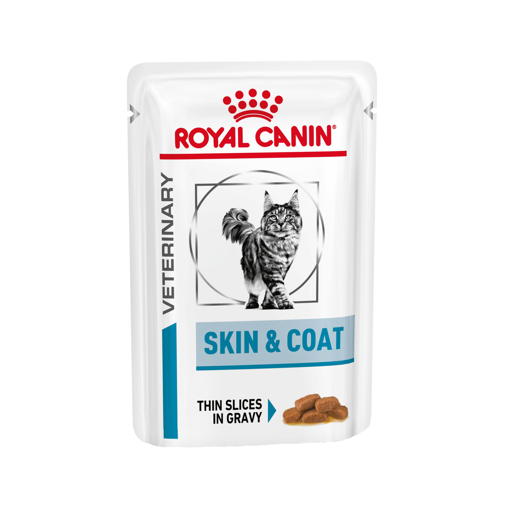 Royal Canin Skin & Coat Wet