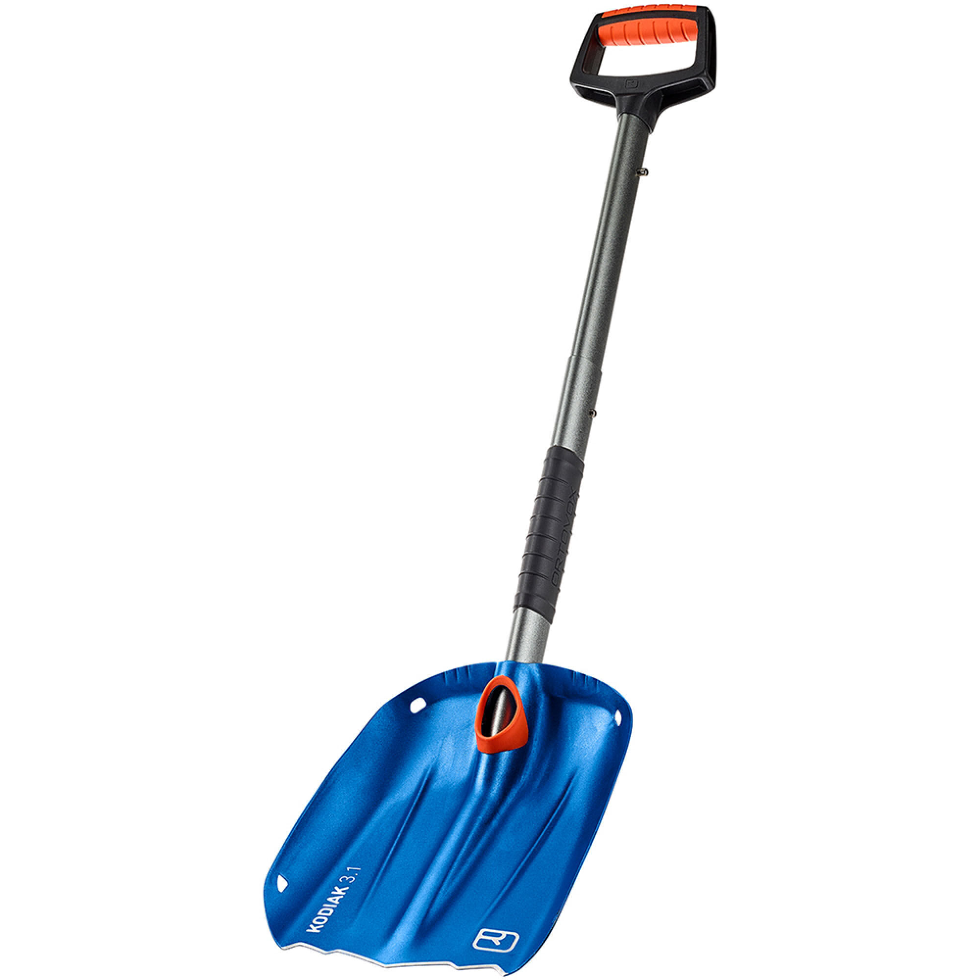 OrtovoxKodiak