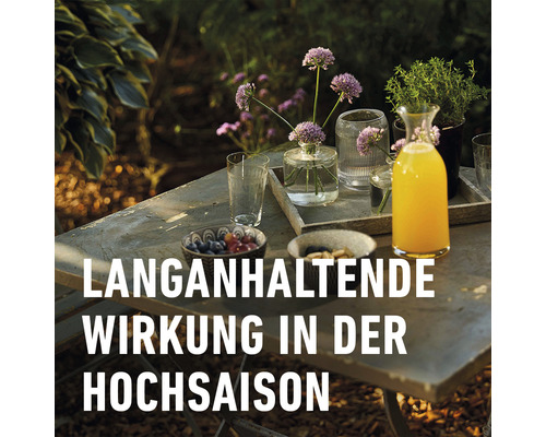 Wespenschuim-gelspray COMPO 500 ml
