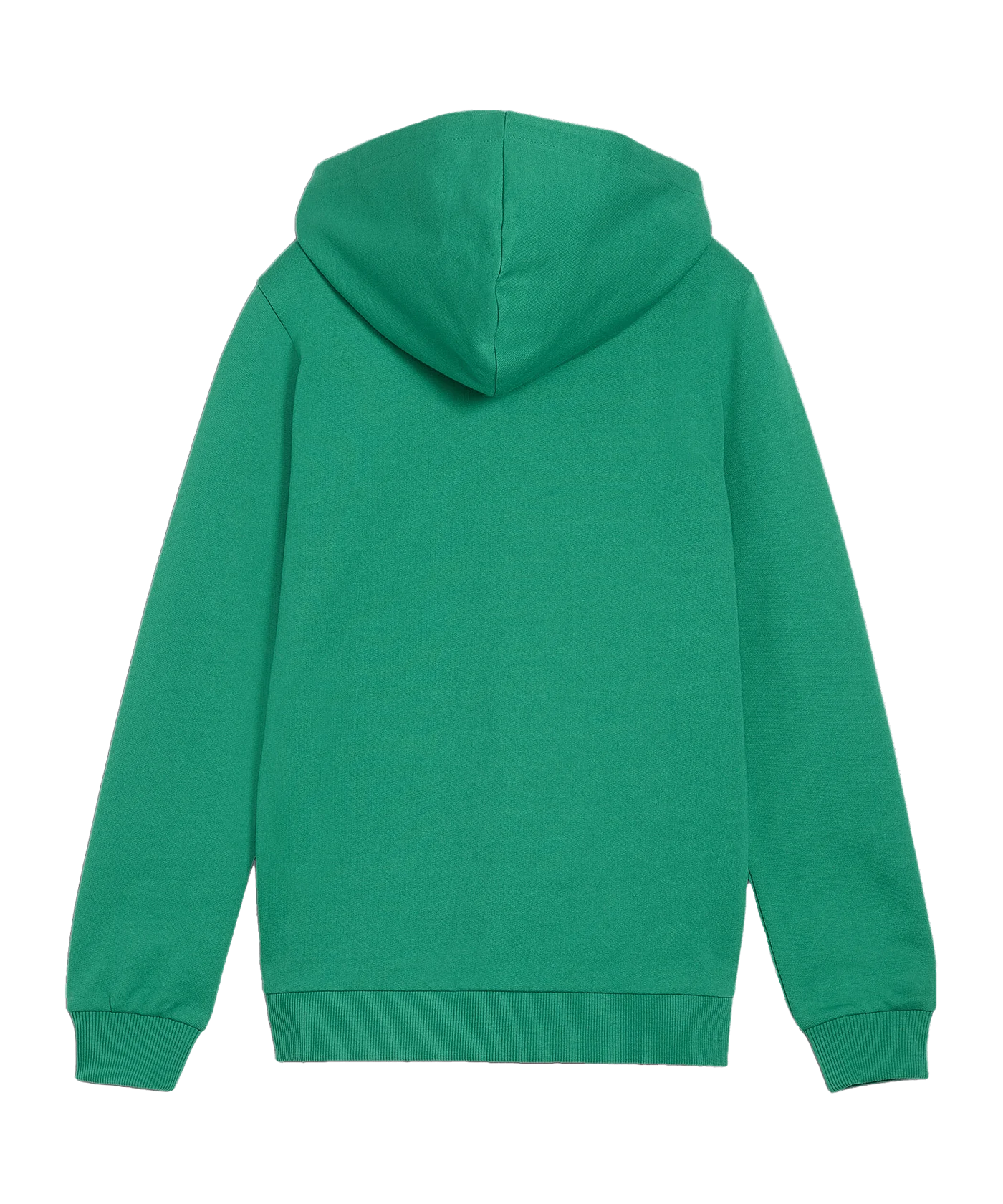 PUMA teamGOAL Casuals Kapuzenjacke Kids Grün F05