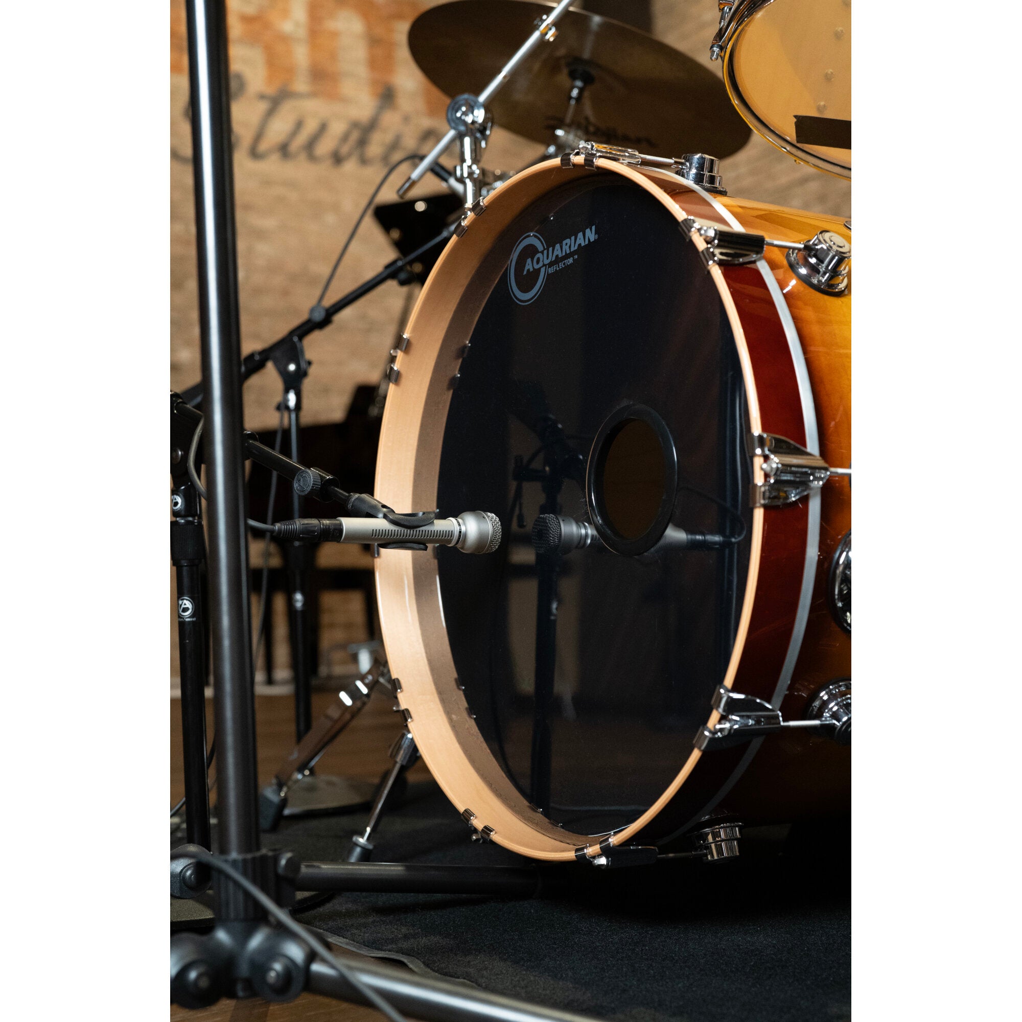 Warm Audio WA-19 Nickel dynamische microfoon