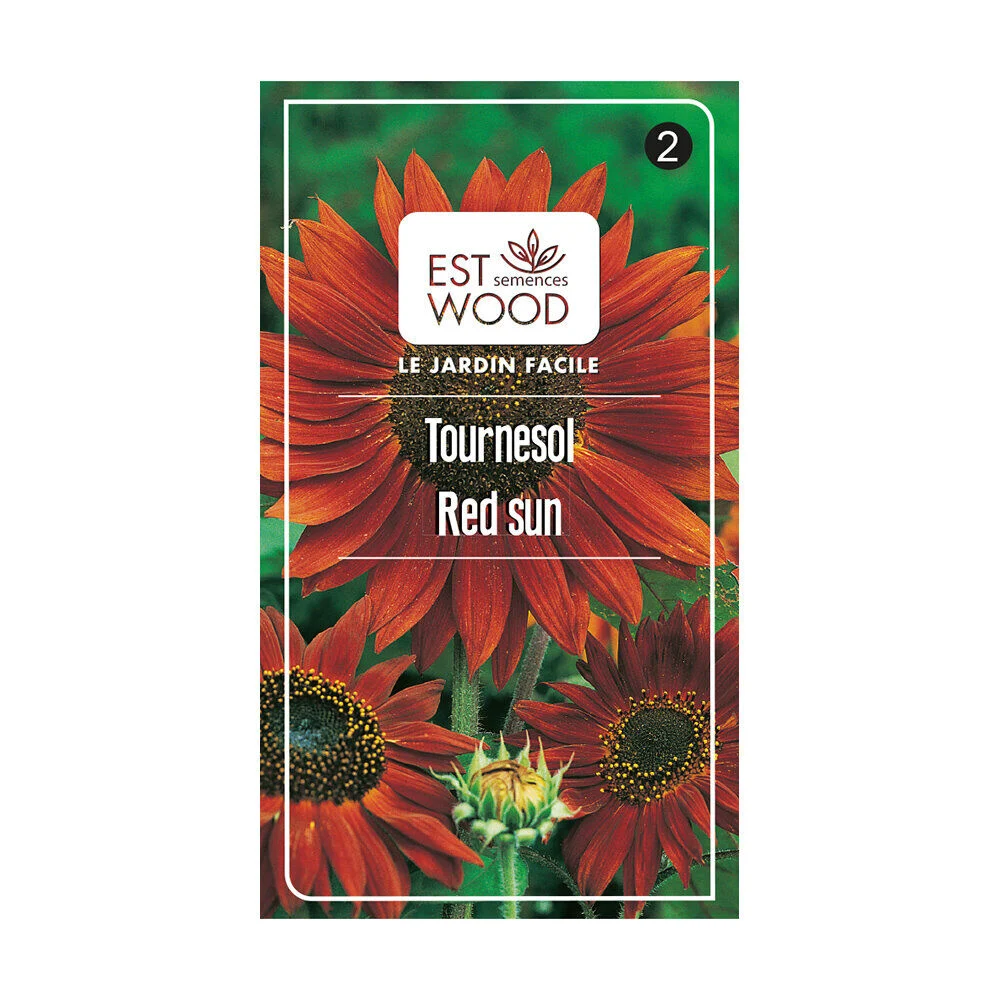 Semence tournesol red sun rouge