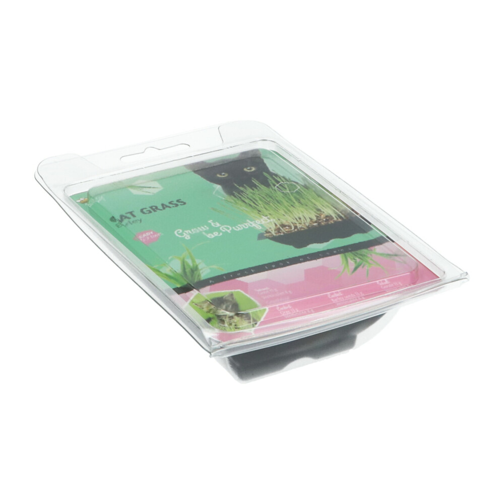 Buzzy Kattengras 50 gr