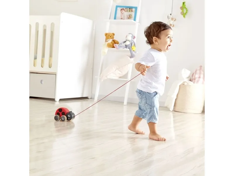 Hape Pull Along Ladybug