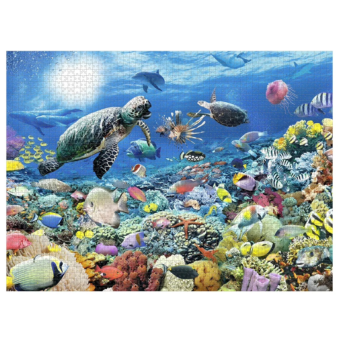 Ravensburger Vie Marine Multicolore