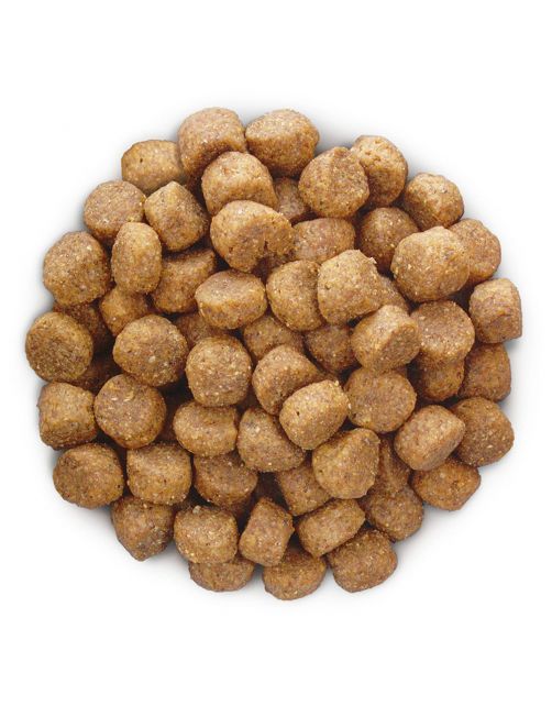 Hill's Prescription Diet B\/D Ageing And Alertness Care Zak - Hondenvoer - Kip 12 kg