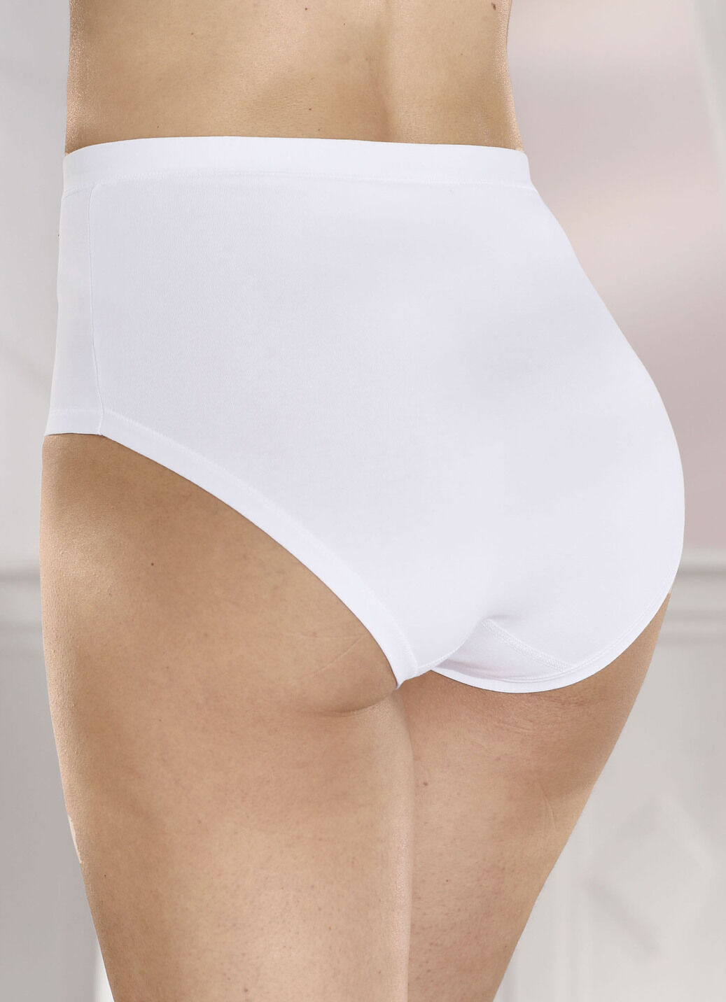 brio lingerie Fünferpack Slips