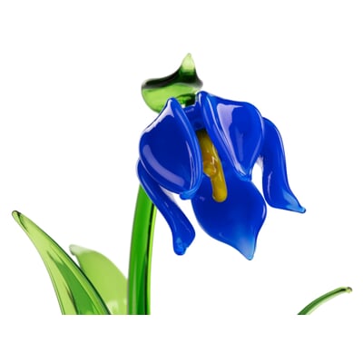 Lauschaer Glockenblume