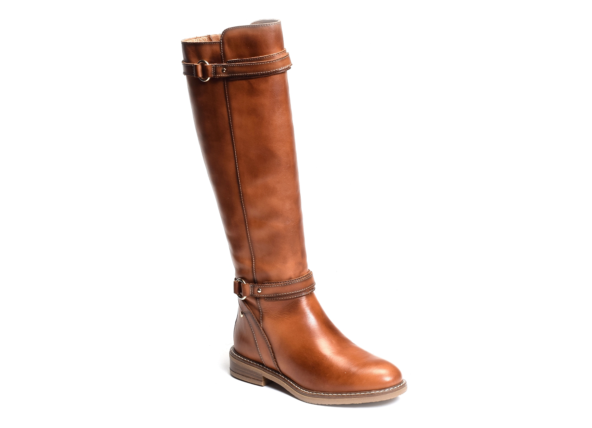 Aldaya 9562 camel