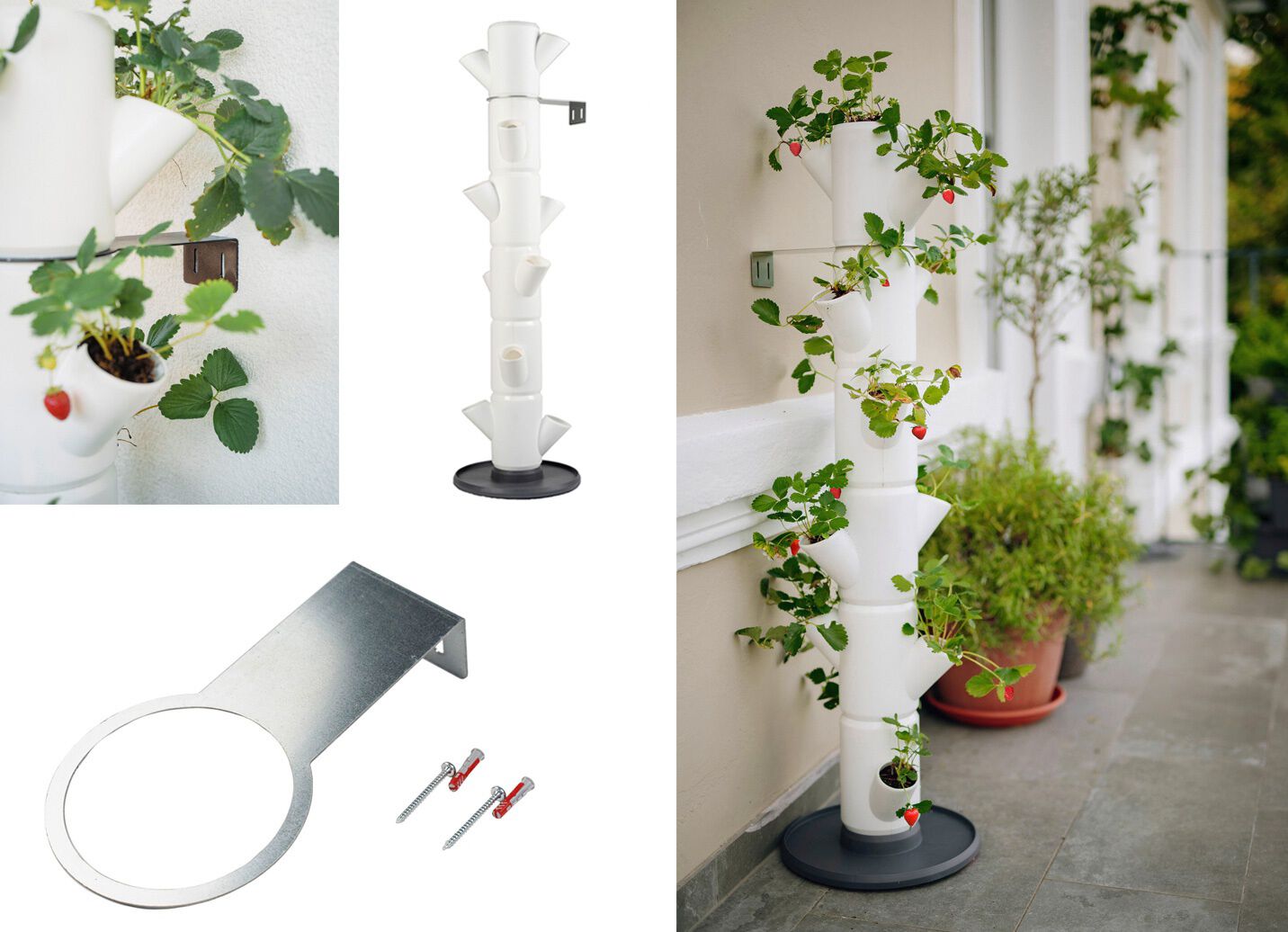 Pflanz-System Sissi Strawberry