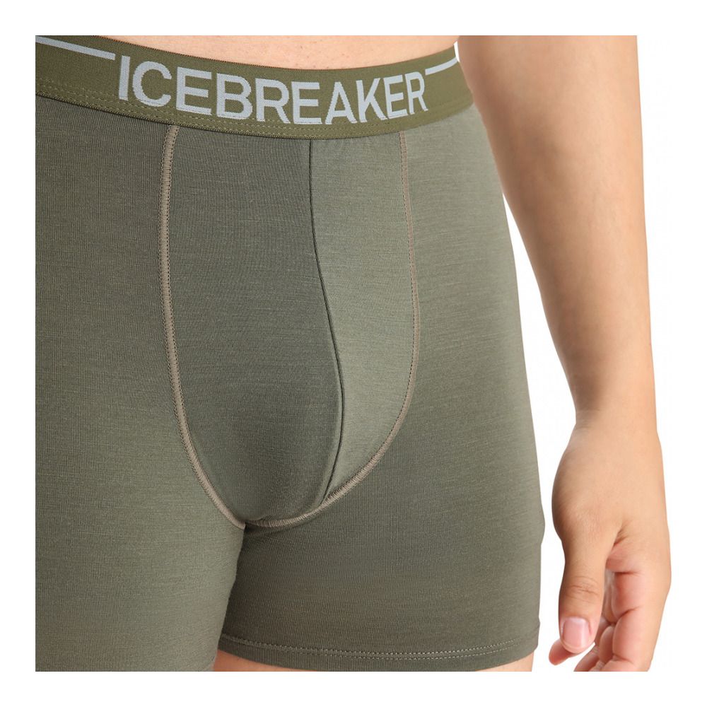 Icebreaker ANATOMICA - Boxer Homme loden
