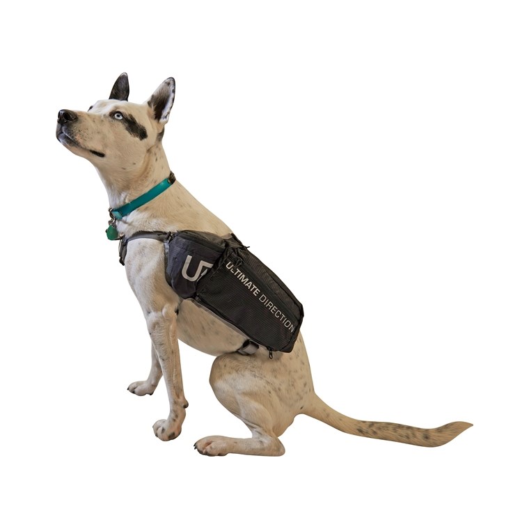 Ultimate Direction Dog Vest