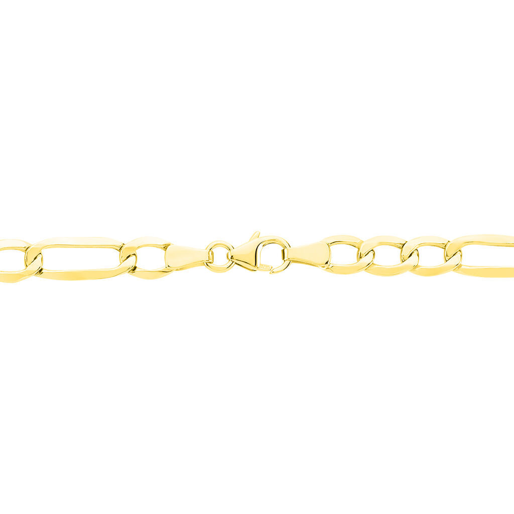 Chaîne Cameo Maille Alternee 1/3 Or Jaune